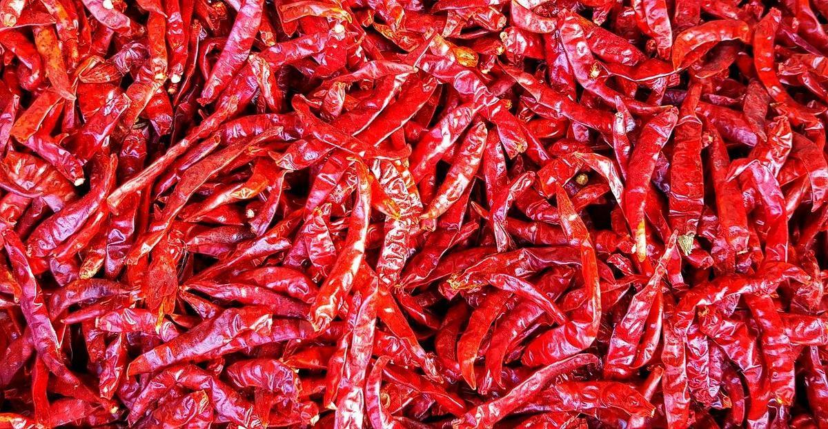 Cores naturais e sua influência nas tendências de decoração sustentável para 2025