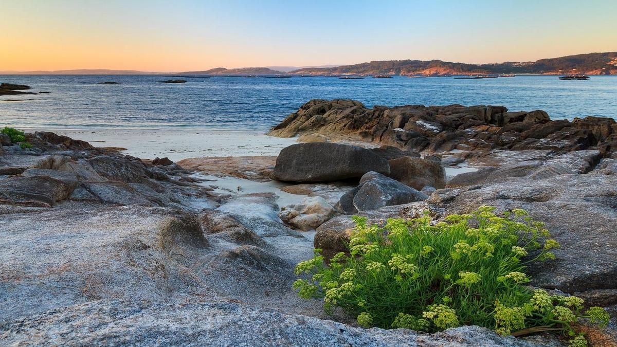 Mindfulness como Estratégia de Autoconhecimento