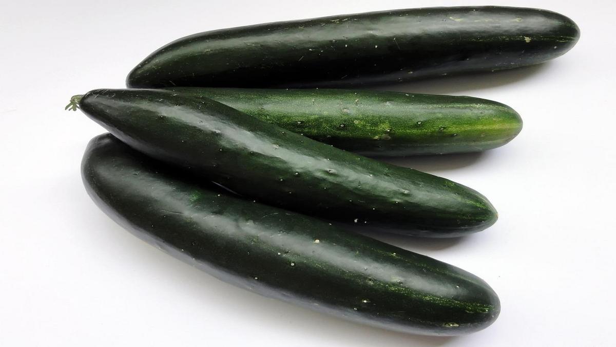Dicas de Saúde para uma Alimentação Equilibrada