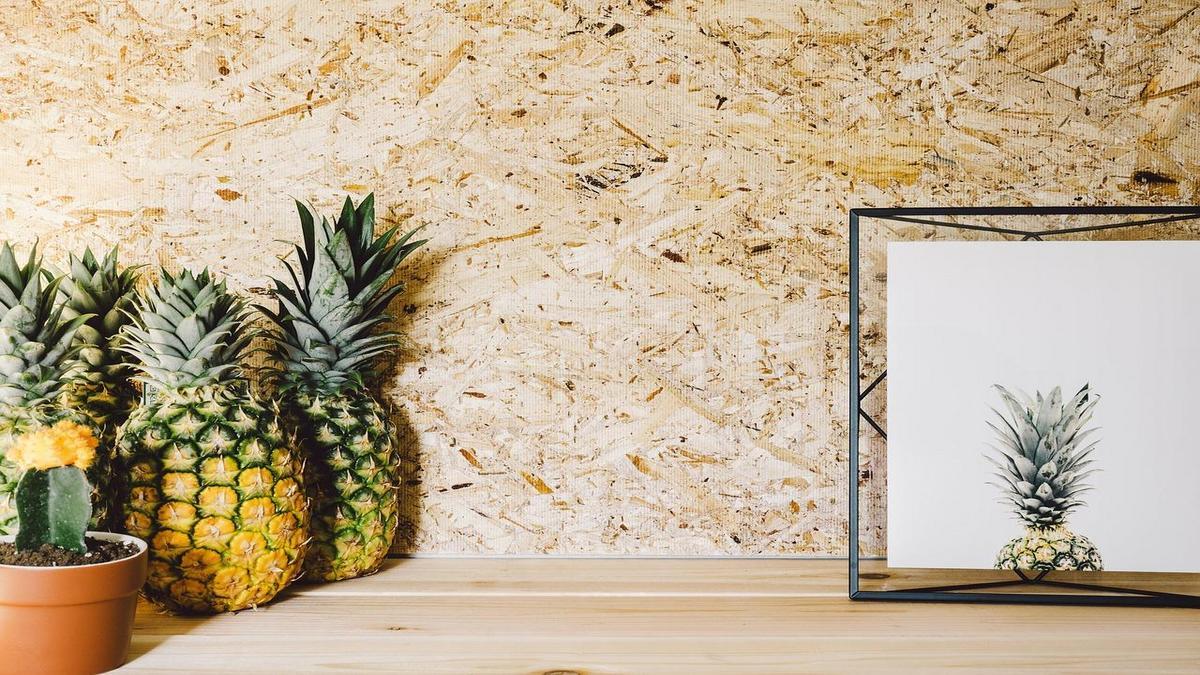 O que é Decoração de Interiores com Sustentabilidade em Mente